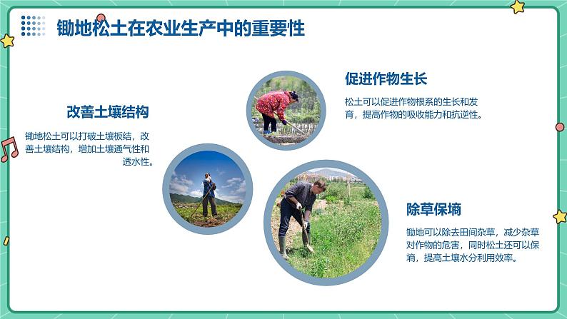 广州版八年级下册劳动技术 主题一:锄地松土不怕累(课件)第5页