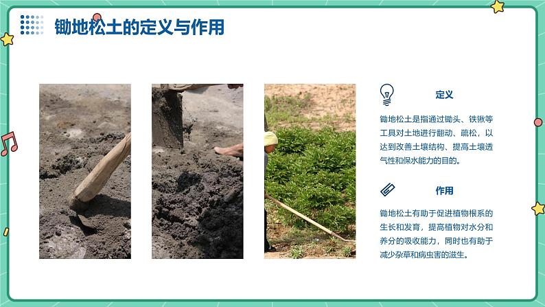 广州版八年级下册劳动技术 主题一:锄地松土不怕累(课件)第8页