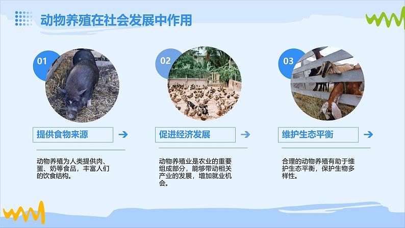 广州版九年级下册劳动技术 主题三:动物养殖快乐多课件(课件)05