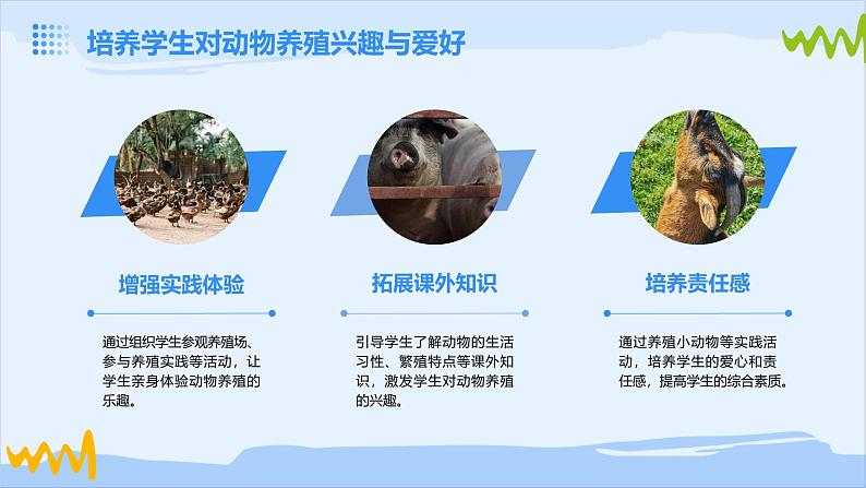 广州版九年级下册劳动技术 主题三:动物养殖快乐多课件(课件)06