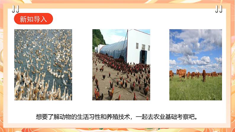 【广州版】初中综合实践活动《劳动》九年级下册 主题三 动物养殖快乐多(第一课时) 课件第3页