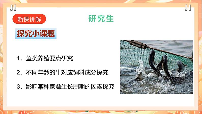 广州版综合实践活动九年级下册 主题三 《动物养殖快乐多》(第二课时)课件第4页