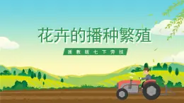 浙教版七下勞動 項目二任務(wù)一《花卉的播種繁殖》課件+教案