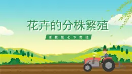 浙教版七下勞動 項目二任務(wù)二《花卉的分株繁殖》課件+教案