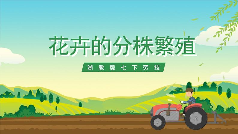 浙教版七下劳动 项目二任务二《花卉的分株繁殖》课件第1页
