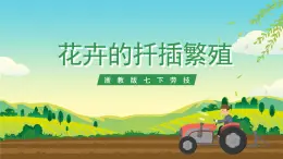 浙教版七下勞動 項目二任務(wù)三《花卉的扦插繁殖》課件+教案