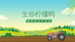 湘教版初中勞技 第8課《生炒檸檬鴨》課件+教案