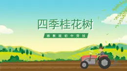 湘教版初中勞技 第13課《四季桂花樹(shù)》課件+教案