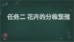浙教版初中七年級下冊勞技術(shù) 項目二 任務(wù)二 花卉的分株繁殖【課件】