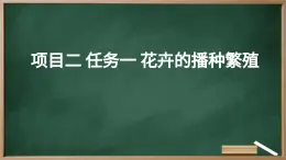 浙教版初中七年級下冊勞技術(shù) 項目二 任務(wù)一 花卉的播種繁殖【課件】