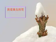 人教版音乐八年级上册：我爱你，塞北的雪 课件+素材（图片+文字）