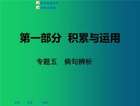 人教部编版初中语文中考复习专题： 病句辨析与修改方法 课件