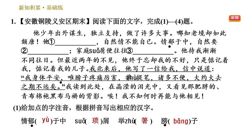 部编版八年级上册语文习题课件 第4单元 14 背影第5页