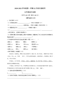 江苏省徐州市睢宁县2021届九年级12月片级联考语文试题