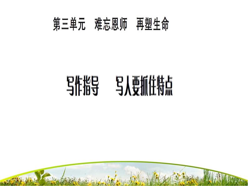 写作指导:写人要抓住特点ppt课件教案第1页