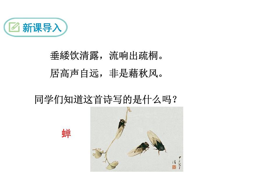 19 蟬課件PPT第3頁