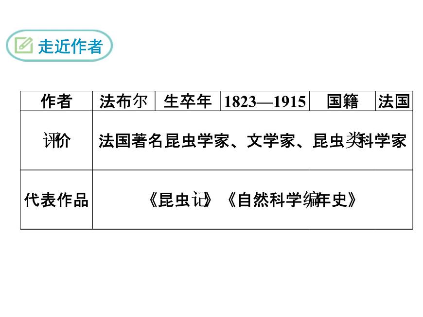 19 蟬課件PPT第4頁
