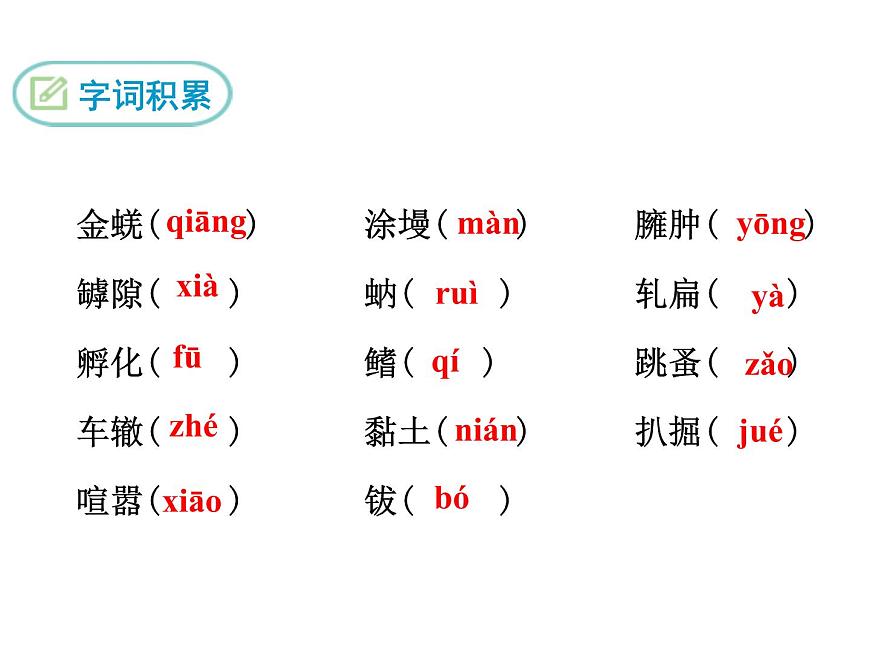 19 蟬課件PPT第5頁
