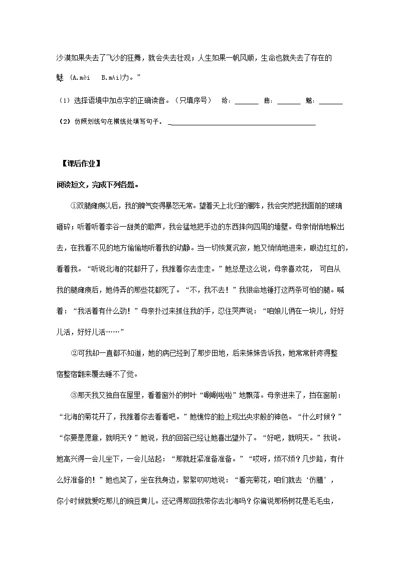 人教部编版七年级语文上册 《秋天的怀念》同步练习题 (2)第2页