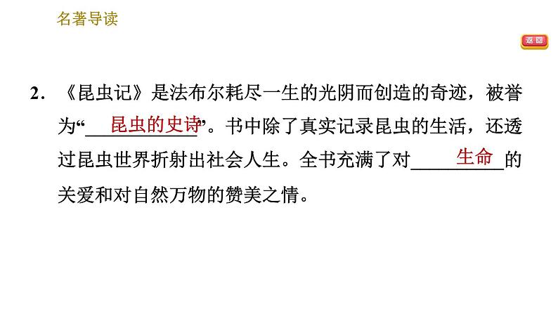 部编版八年级上册语文习题课件 第5单元 名著导读第4页