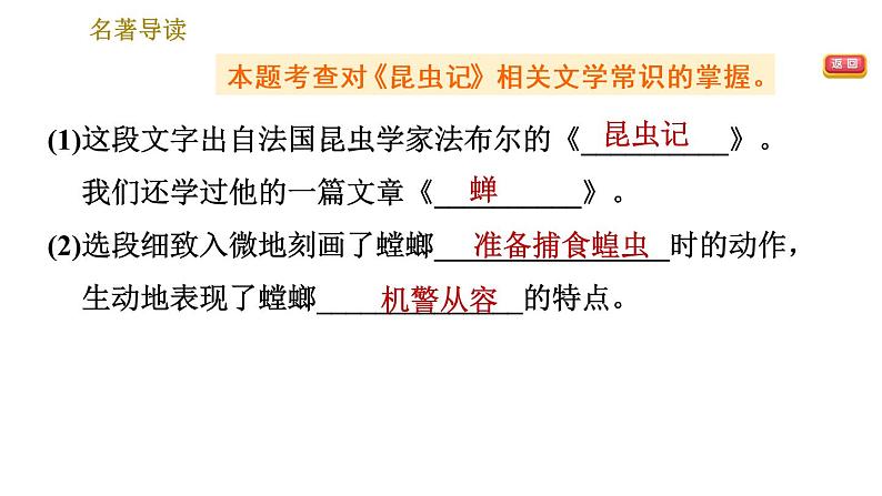 部编版八年级上册语文习题课件 第5单元 名著导读第6页