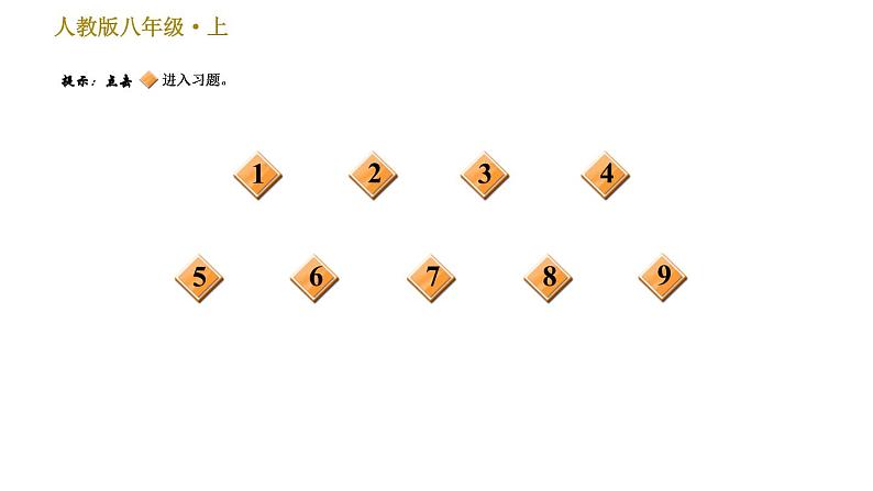部编版八年级上册语文 期末专题训练 习题课件02