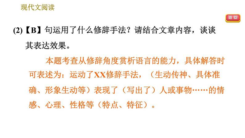 部编版八年级上册语文 期末专题训练 习题课件08