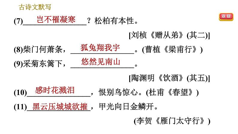 部编版八年级上册语文 期末专题训练 习题课件05