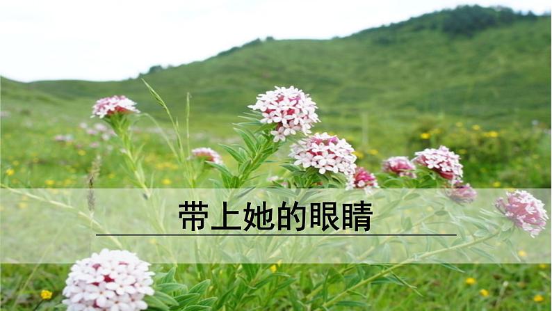 24《带上她的眼睛》课件第1页