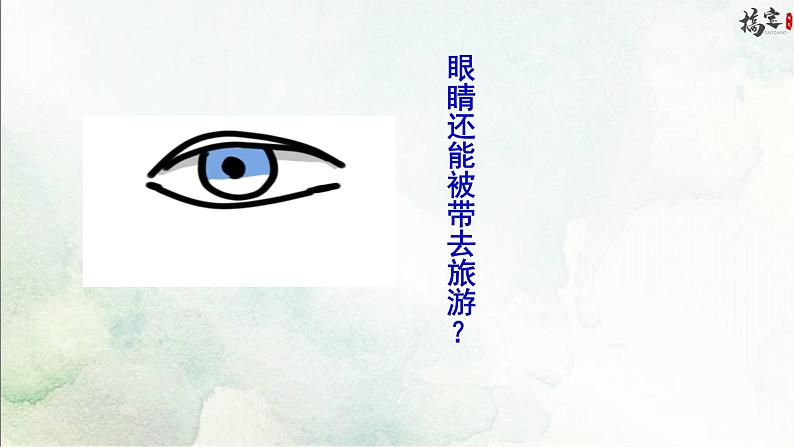 24《带上她的眼睛》课件第4页
