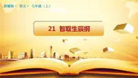 初中语文人教部编版九年级上册第六单元21 智取生辰纲教学课件ppt