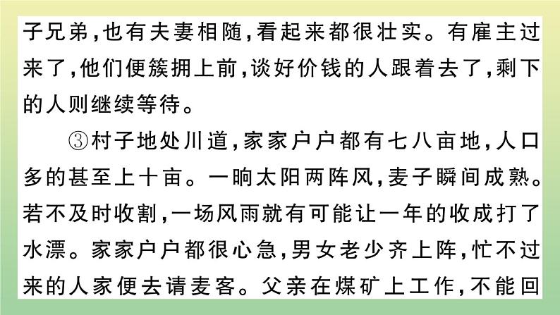 部编人教版九年级语文上册期末复习专题八记叙文阅读作业课件03