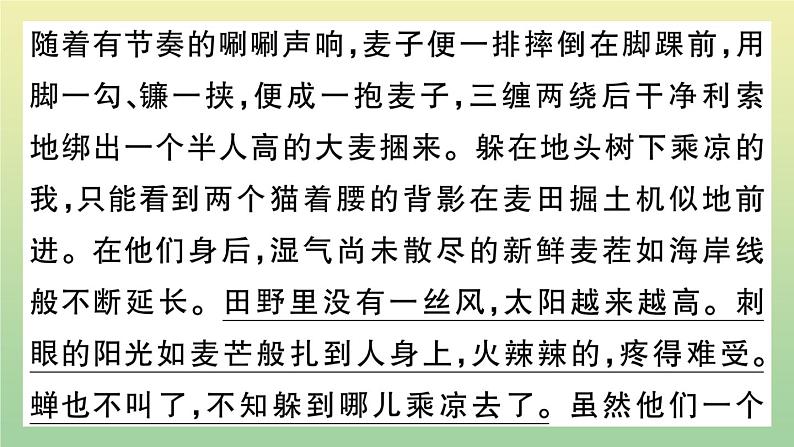 部编人教版九年级语文上册期末复习专题八记叙文阅读作业课件05