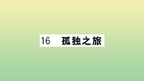 2020-2021学年16* 孤独之旅作业ppt课件