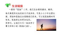 人教部编版16* 孤独之旅教课ppt课件