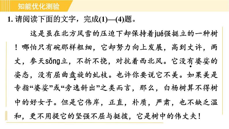 部编版八年级上册语文习题课件 第4单元 15. 白杨礼赞第4页