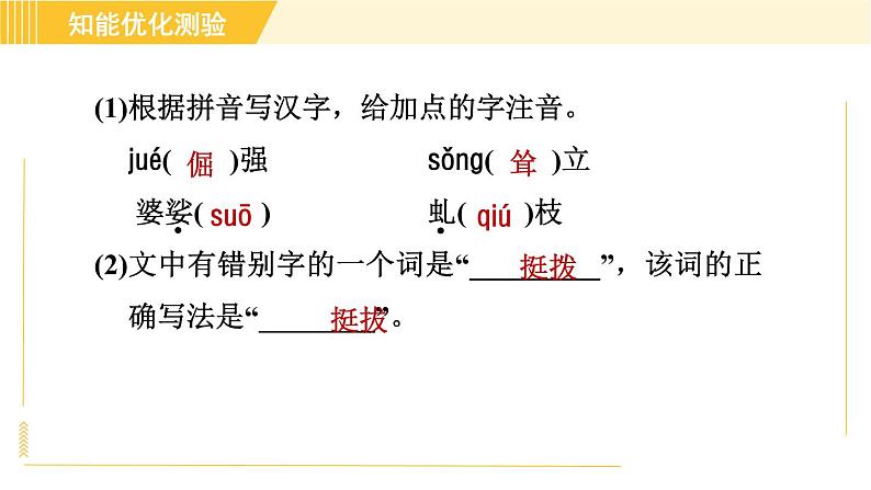 部编版八年级上册语文习题课件 第4单元 15. 白杨礼赞第5页
