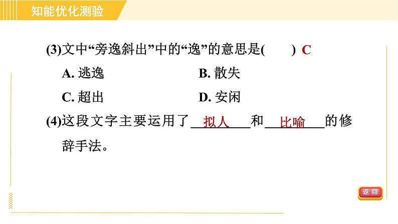 部编版八年级上册语文习题课件 第4单元 15. 白杨礼赞第6页