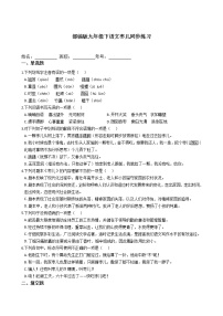 初中语文人教部编版九年级下册19 枣儿课后复习题