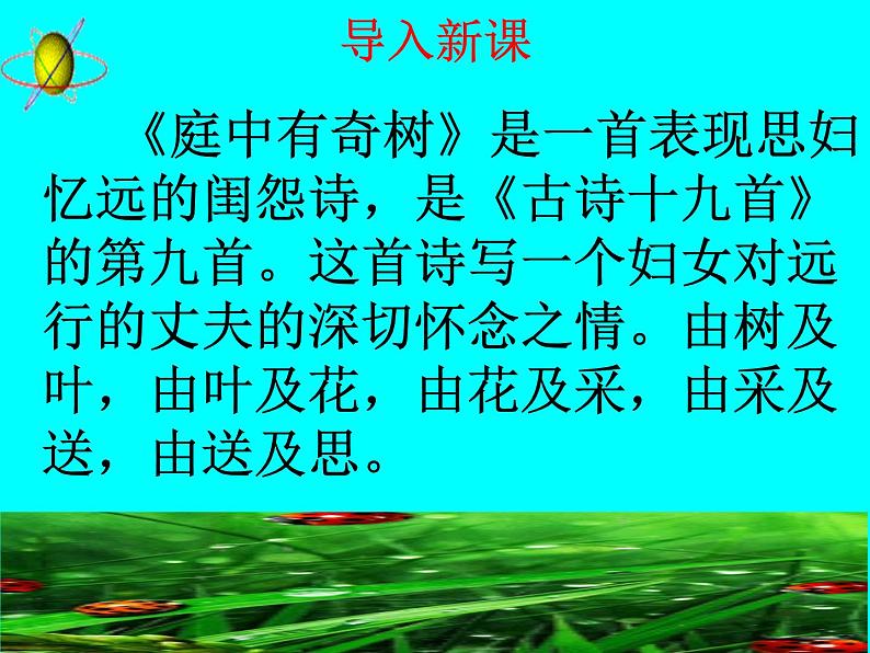 庭中有奇树课件+教案01