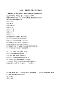 2020-2021年湖南省长沙市七年级上学期语文开学分班考试试卷含答案