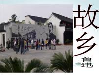 2020-2021学年14 故乡课文ppt课件