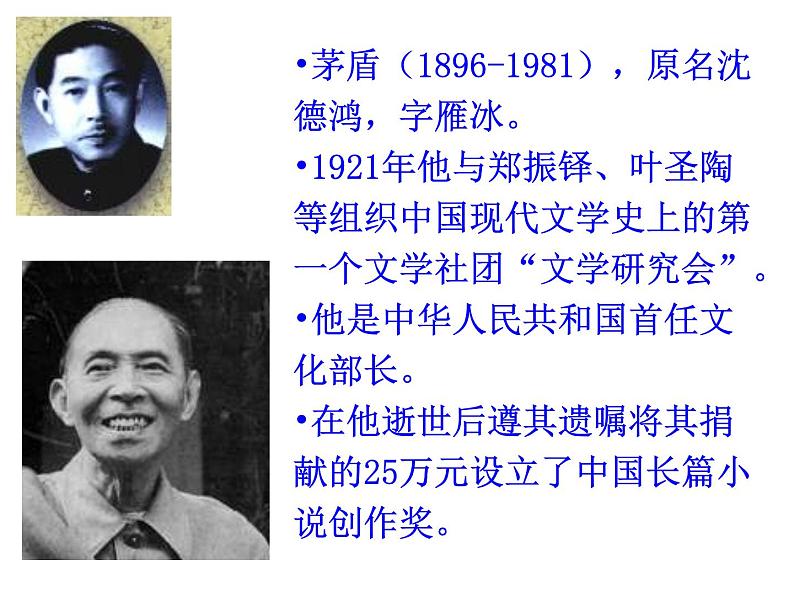 人教部编八年级上册课件白杨礼赞 3第3页