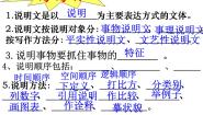 初中语文人教部编版八年级上册17 中国石拱桥教案配套ppt课件