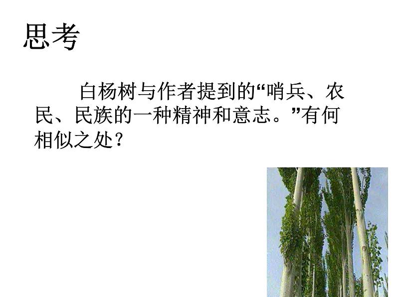 人教部编八年级上册课件白杨礼赞 2第6页