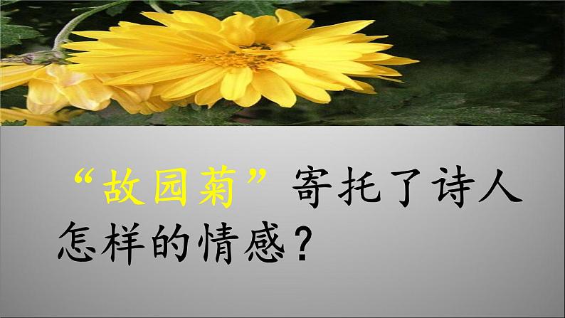 行军九日思长安故园课件第3页