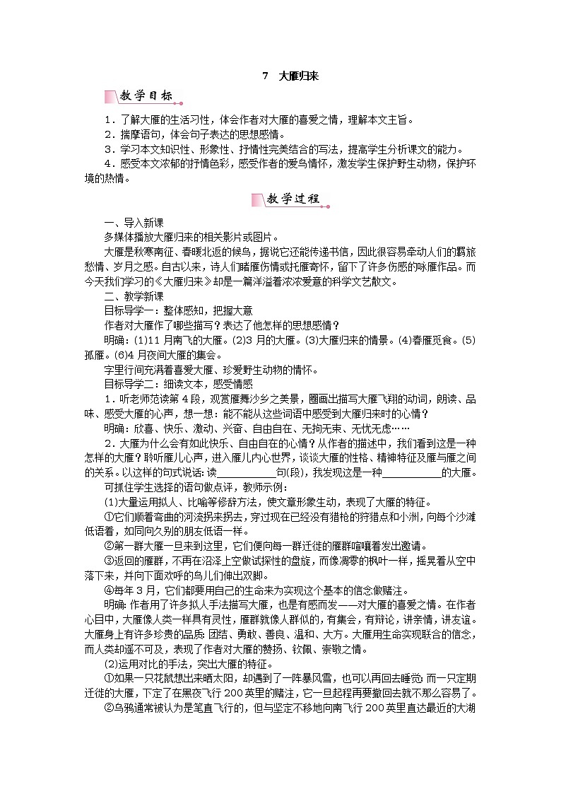 7大雁归来 教案第1页