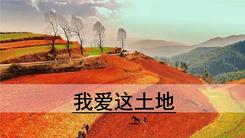 部编版九年级语文上册3《我爱这土地》课件第2页