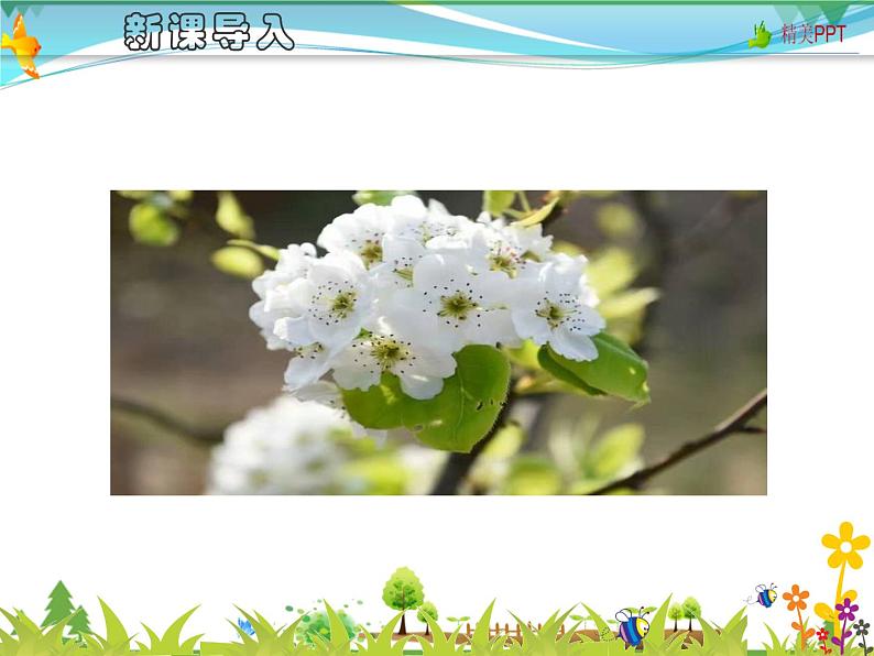 【人教部编版】七年级下册语文 15《驿路梨花》课件第1页