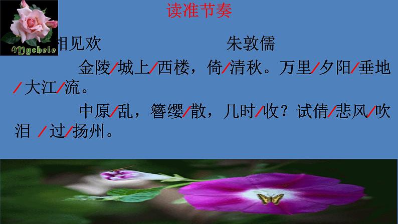 部编版八年级上册语文--相见欢 课件07